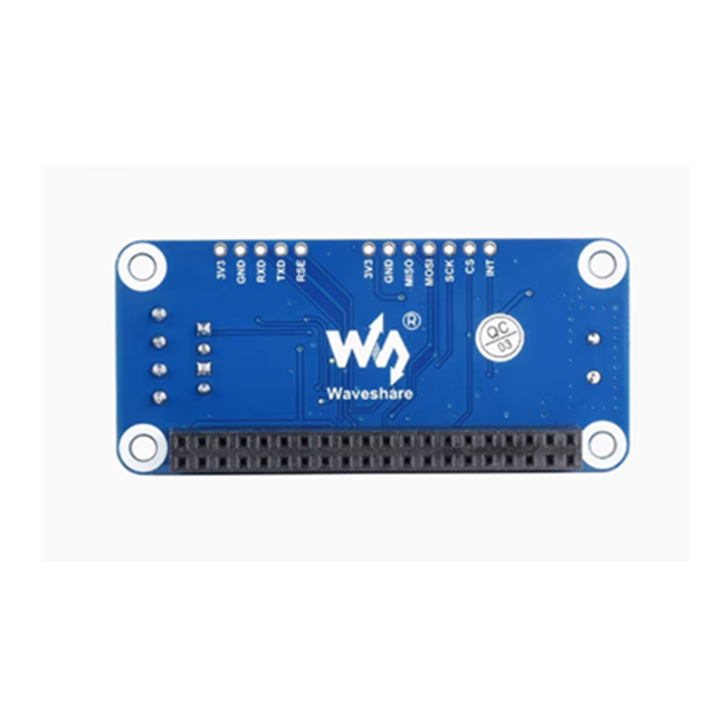 Raspberry Pi 4B/3B +/Zero W RS - Pi Zero W Board avis et prix